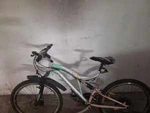 Tomahawk Mountain Bicycle