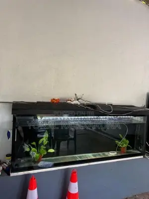 Fish Tank