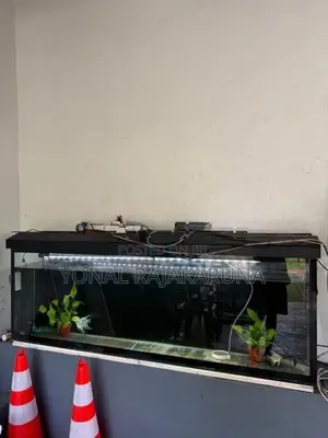 Fish Tank