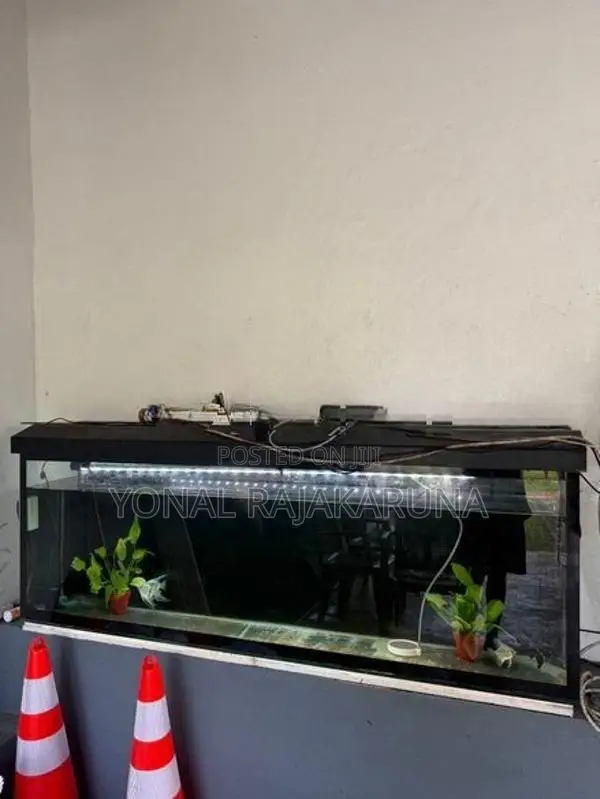 Fish Tank