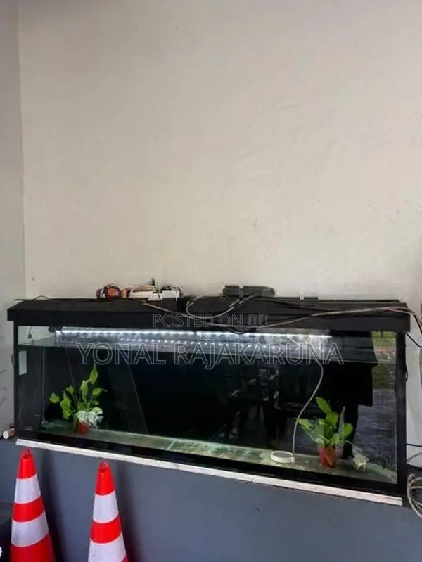 Fish Tank