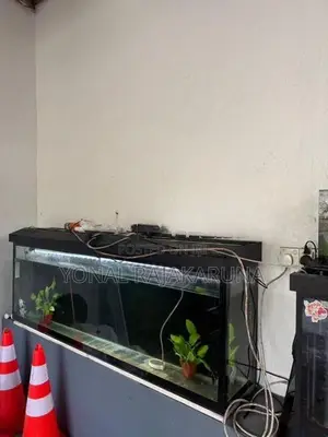 Fish Tank