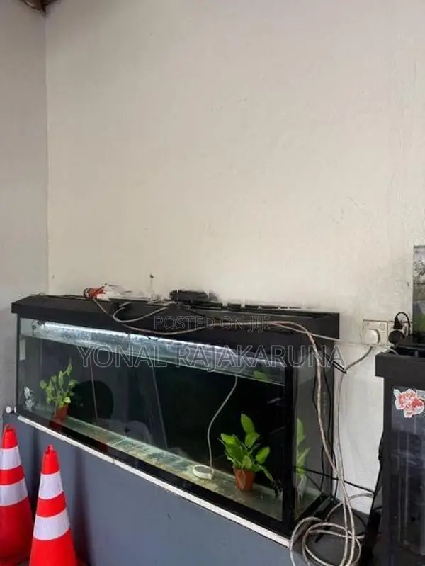 Fish Tank