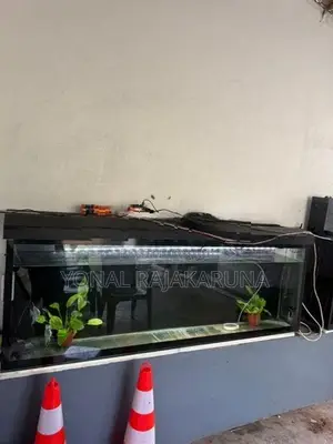 Fish Tank