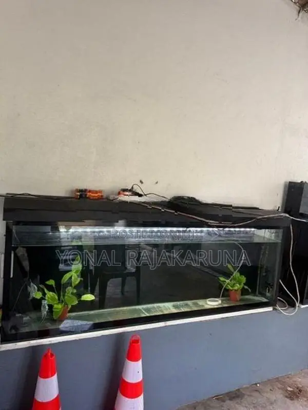 Fish Tank