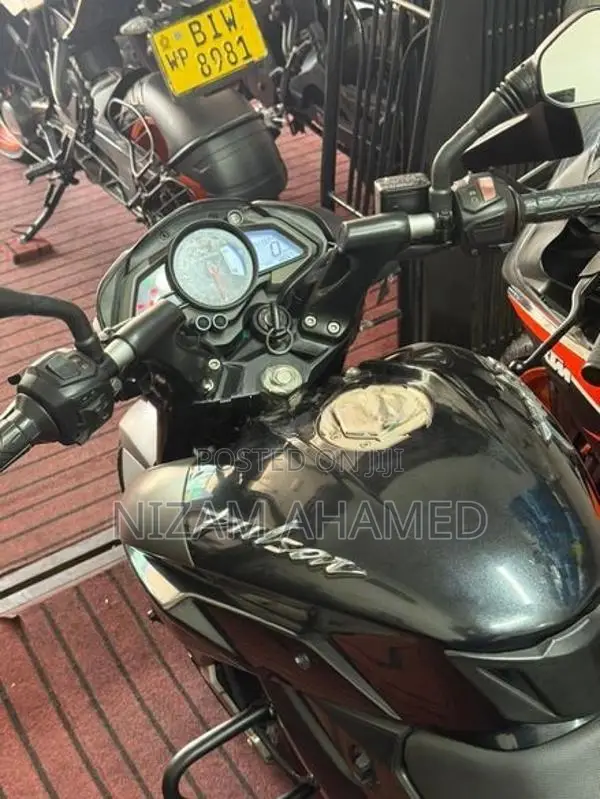 Bajaj Pulsar NS200 BS4 2019