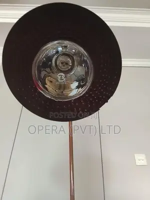 Food Warmer Lamps