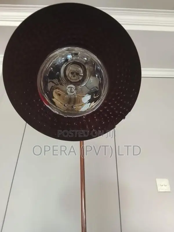 Food Warmer Lamps
