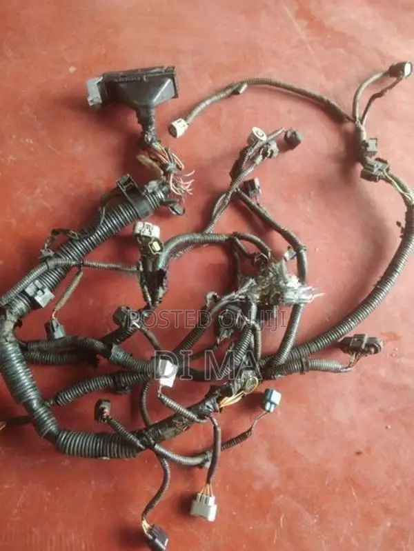 Vitz 2008 Wire Harness