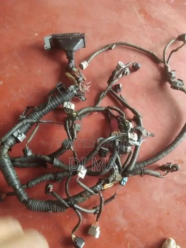 Vitz 2008 Wire Harness