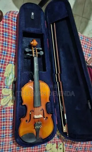 Violin
