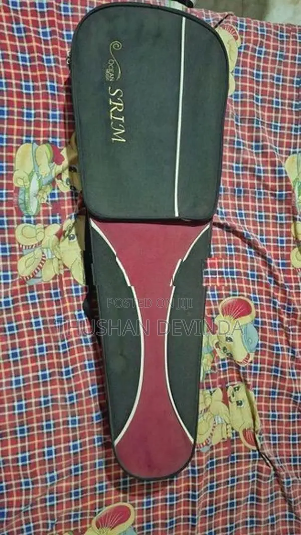 Violin