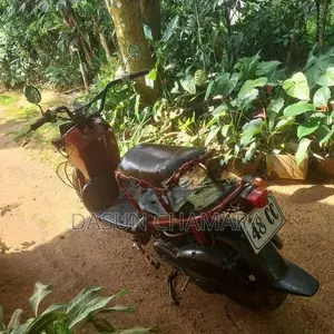 Honda Zoomer 2017
