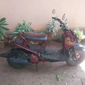 Honda Zoomer 2017