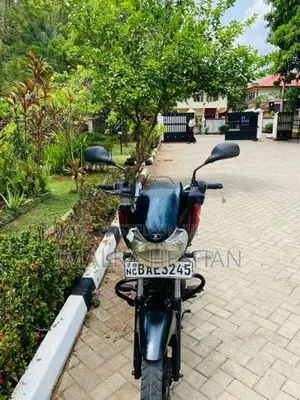 Bajaj Discover 110 Red 2013