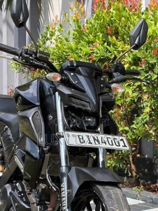 Yamaha MT 15 2019