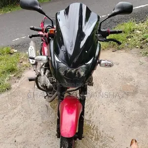 Bajaj Pulsar 150 2015