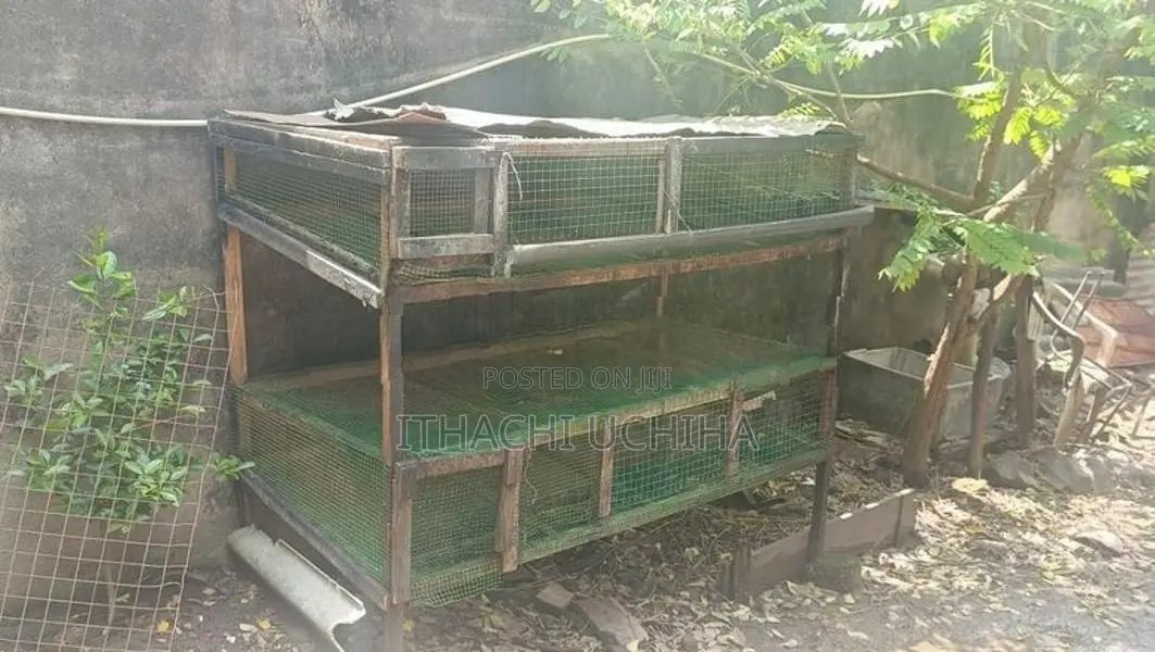 Quail Farm Cage