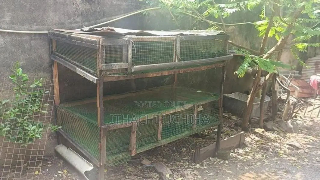 Quail Farm Cage
