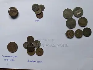 Old Coins With Notes