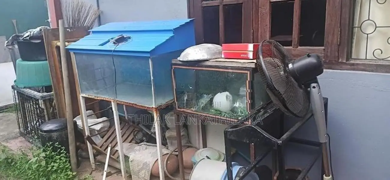Two Fish Tanks With Stands