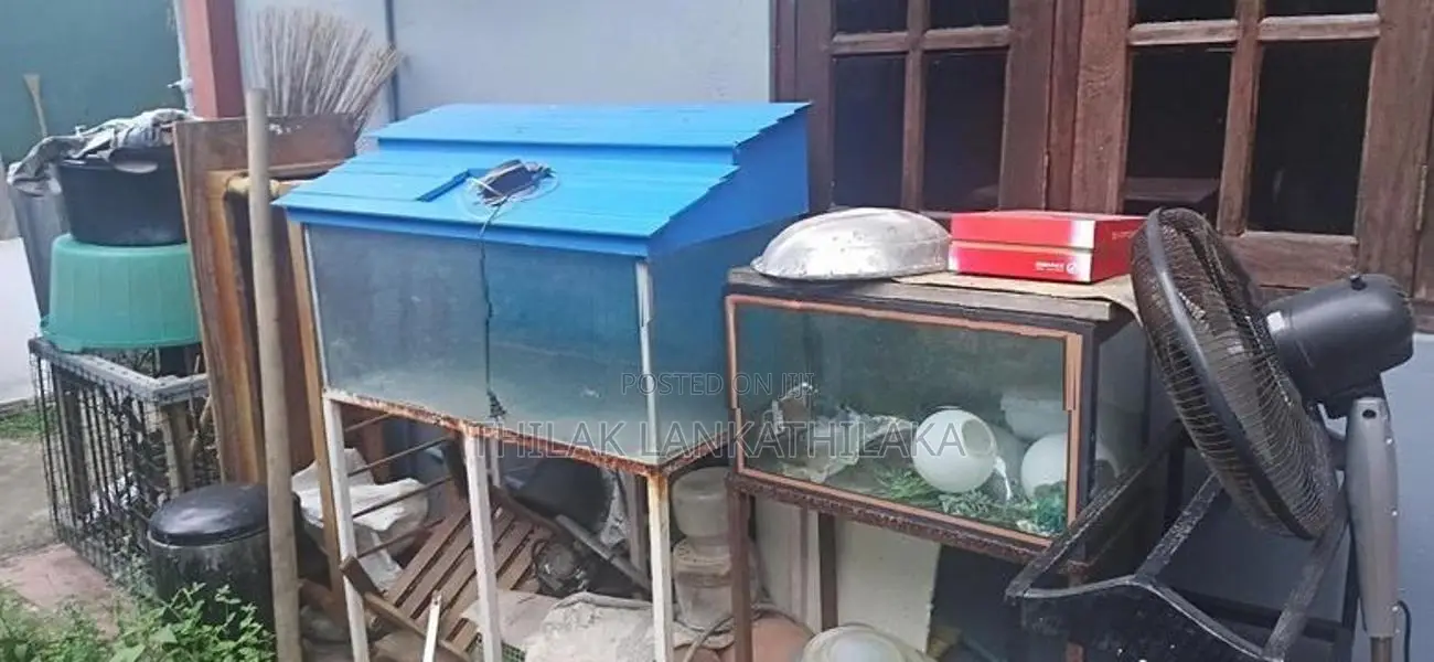 Two Fish Tanks With Stands