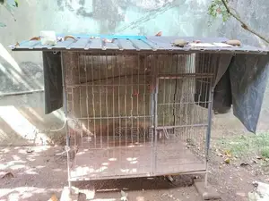 Dog Big Breed Cage