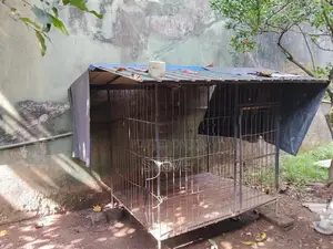 Dog Big Breed Cage