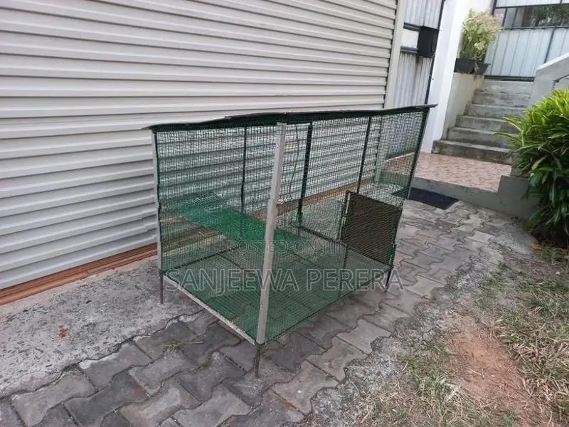 Home Used Bird Cage