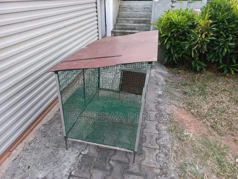 Home Used Bird Cage