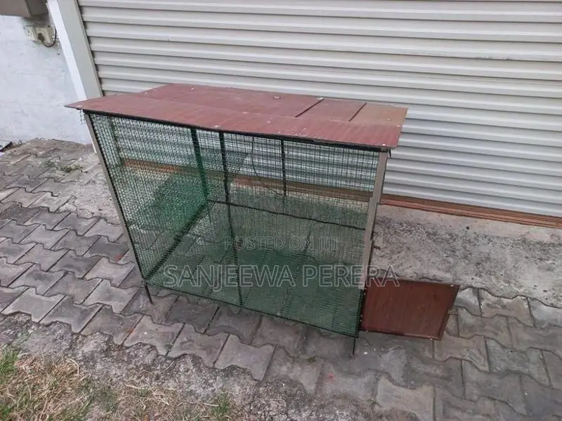 Home Used Bird Cage