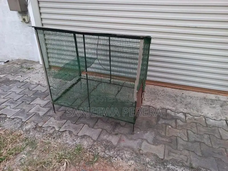 Home Used Bird Cage