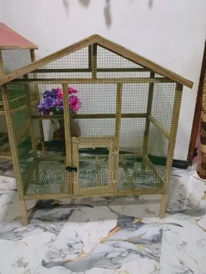 Birds Cage