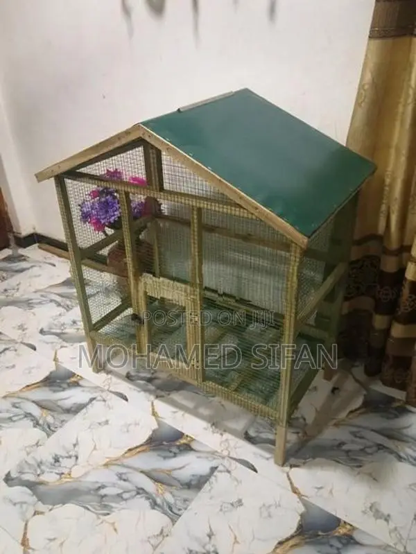 Birds Cage
