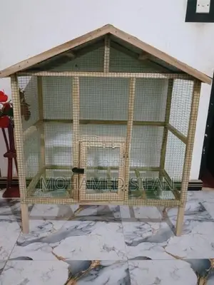 Birds Cage