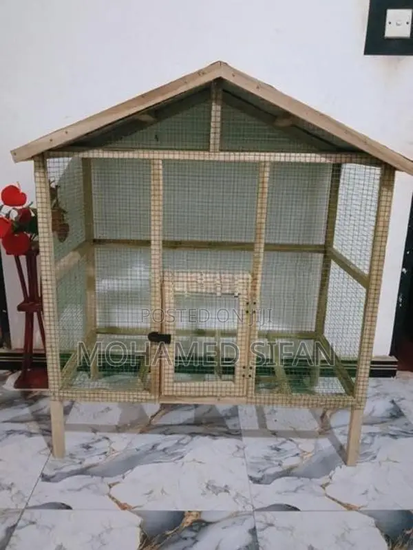Birds Cage