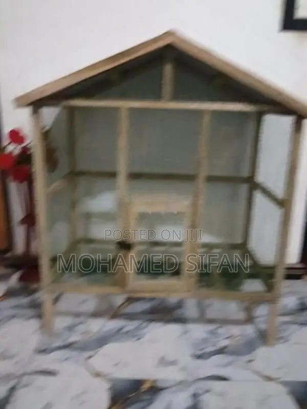 Birds Cage