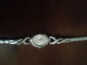 Swiss Watch