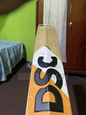 Dsc Cricket Bat