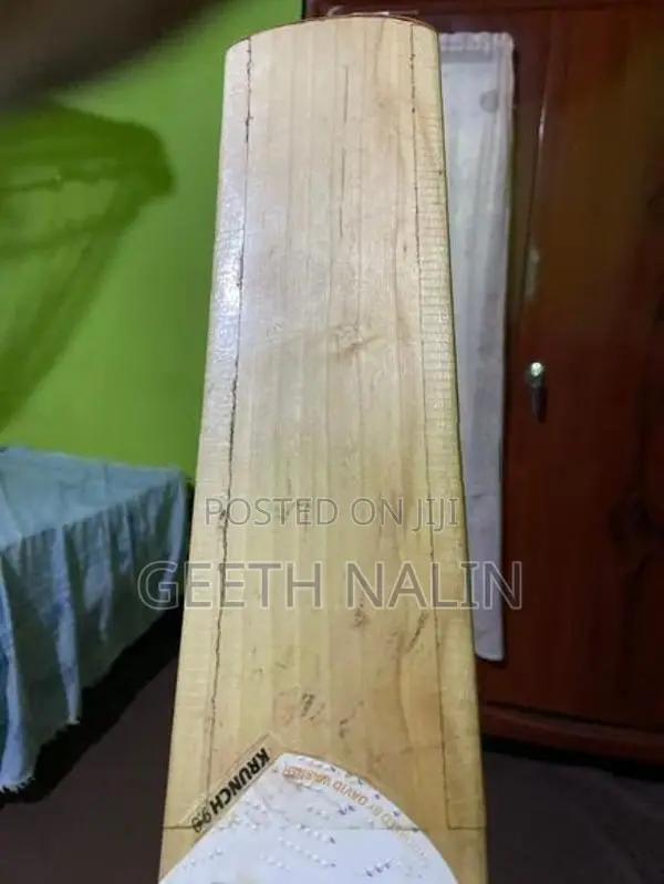 Dsc Cricket Bat
