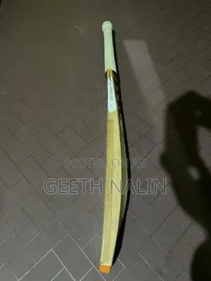 Dsc Cricket Bat
