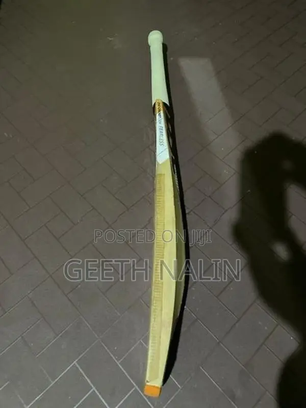 Dsc Cricket Bat