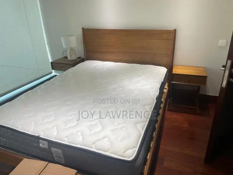 Queen Size Mattress