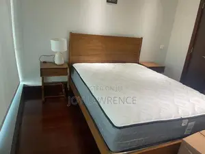 Queen Size Mattress