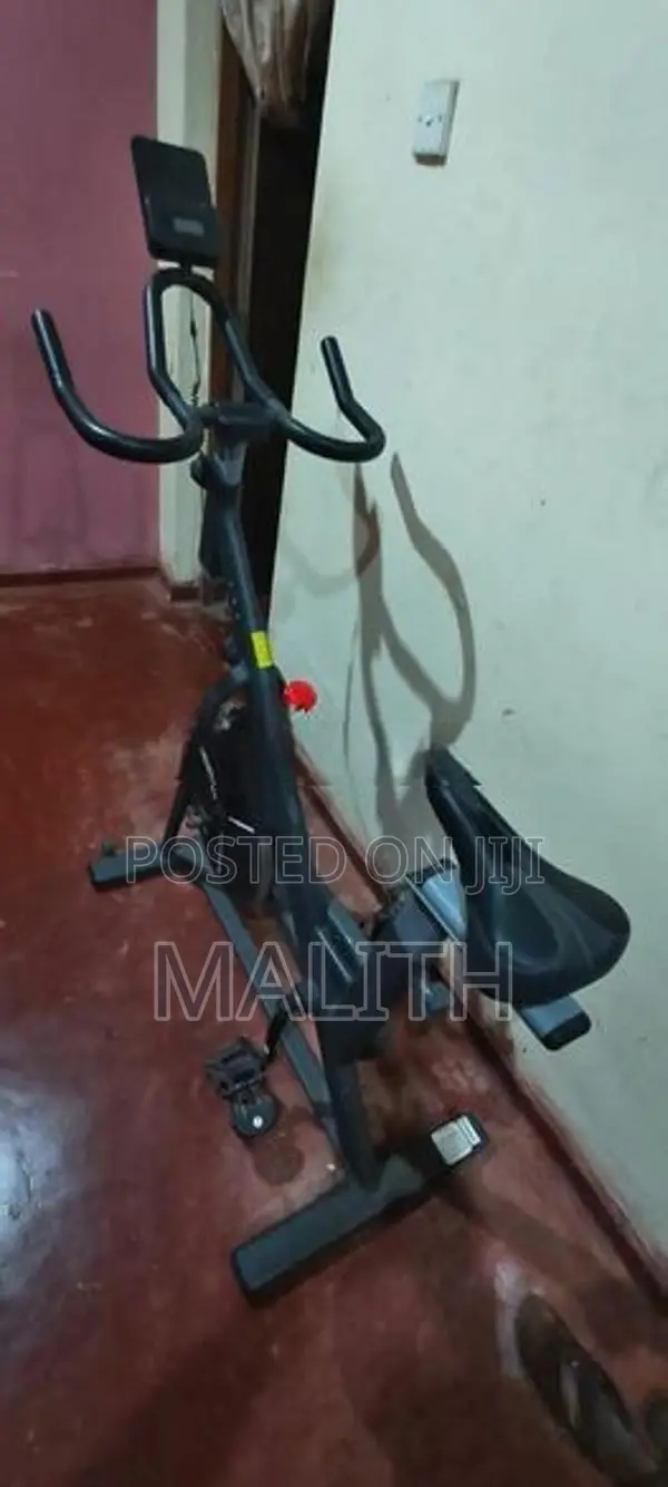 Spin Bike