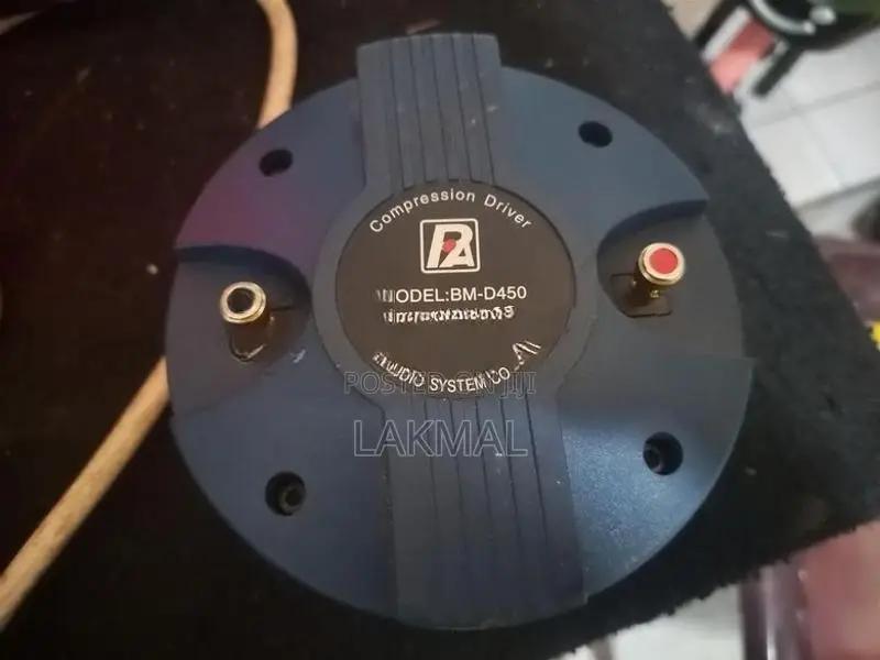 P Audio 450