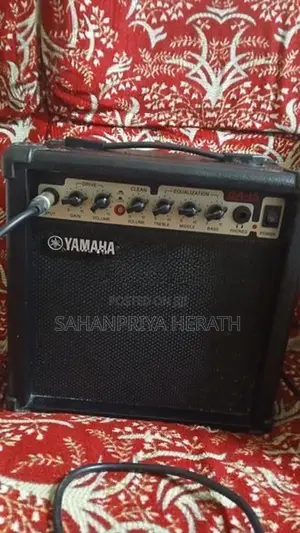 Electric Guitar With Music Amp