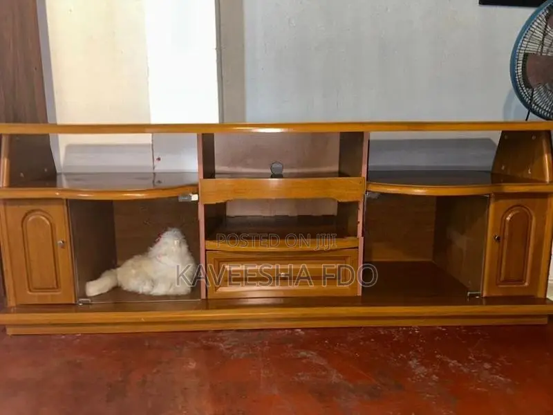 Damro TV Stand
