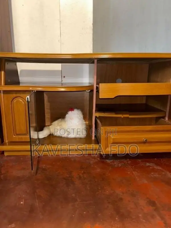 Damro TV Stand