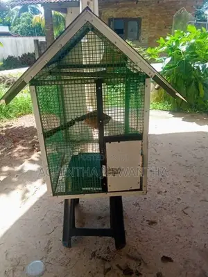 කුඩා සතුන් නැතිකිරීමට
